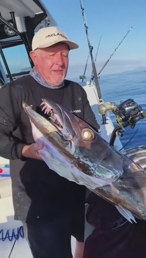 Супер рыбалка!