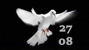 27.08.2025 - Прямая трансляция ст.Елизаветинская