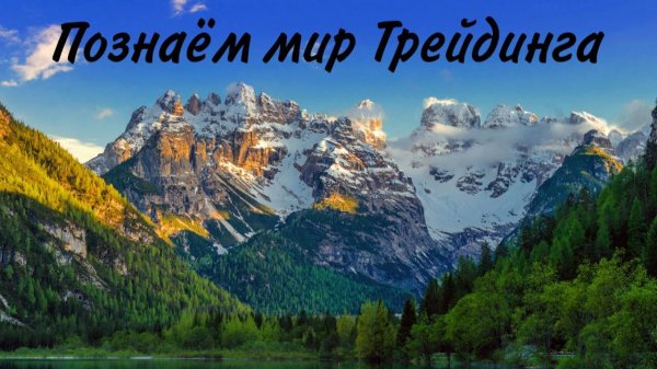 Учимся торговать на бирже BinTrade: домашняя обстановка под музыку Radio Record