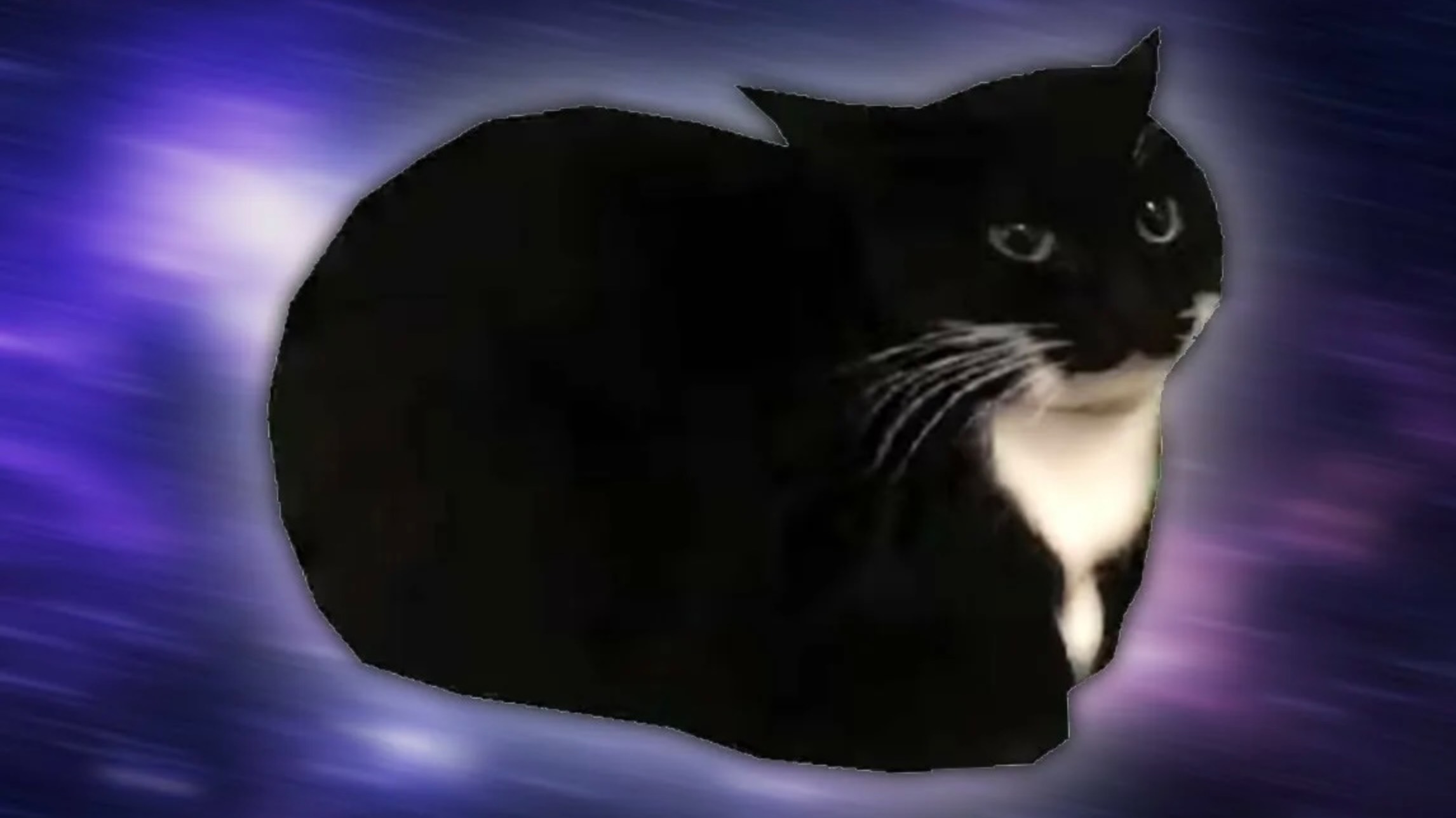 Кот Максвелл смотреть онлайн