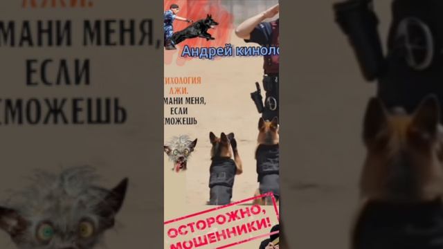 Обслуживатели и продлеватели 404 смотреть онлайн