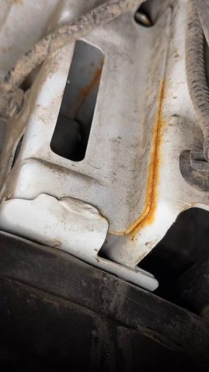 Никогда не спорьте с владельцами Chery