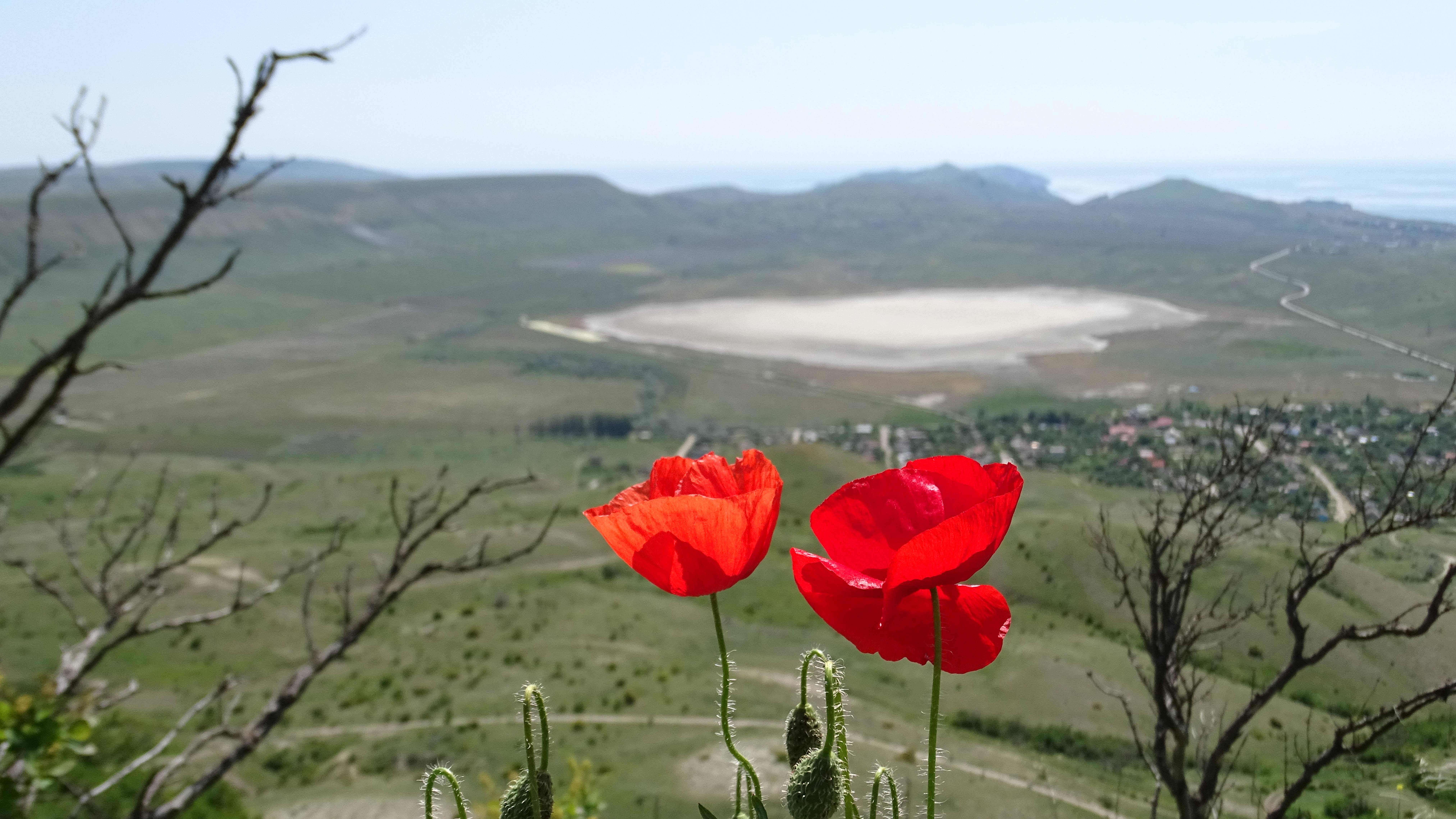 Крым. Звездопад воспоминаний. Страна Коктебель. смотреть онлайн