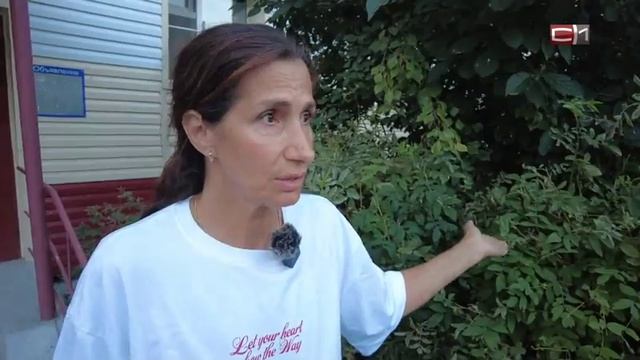 Хозяйская собака во дворе жилого дома в Сургуте запугала детей и родителей