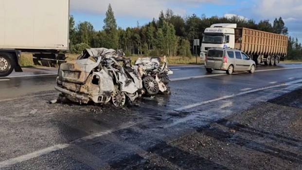 Аварии и ДТП на дорогах ТОРОПЫГИ за рулем смотреть онлайн