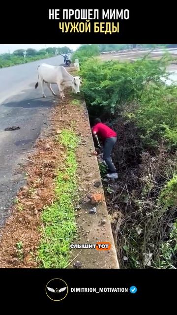 Не прошел мимо чужой беды помог #мудрость смотреть онлайн