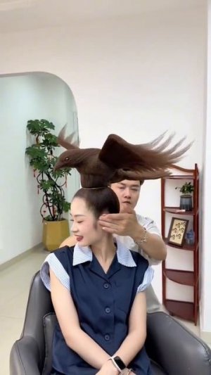 Дамский цирюльник