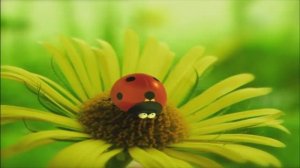 Букашки ТВ - Божья коровка
