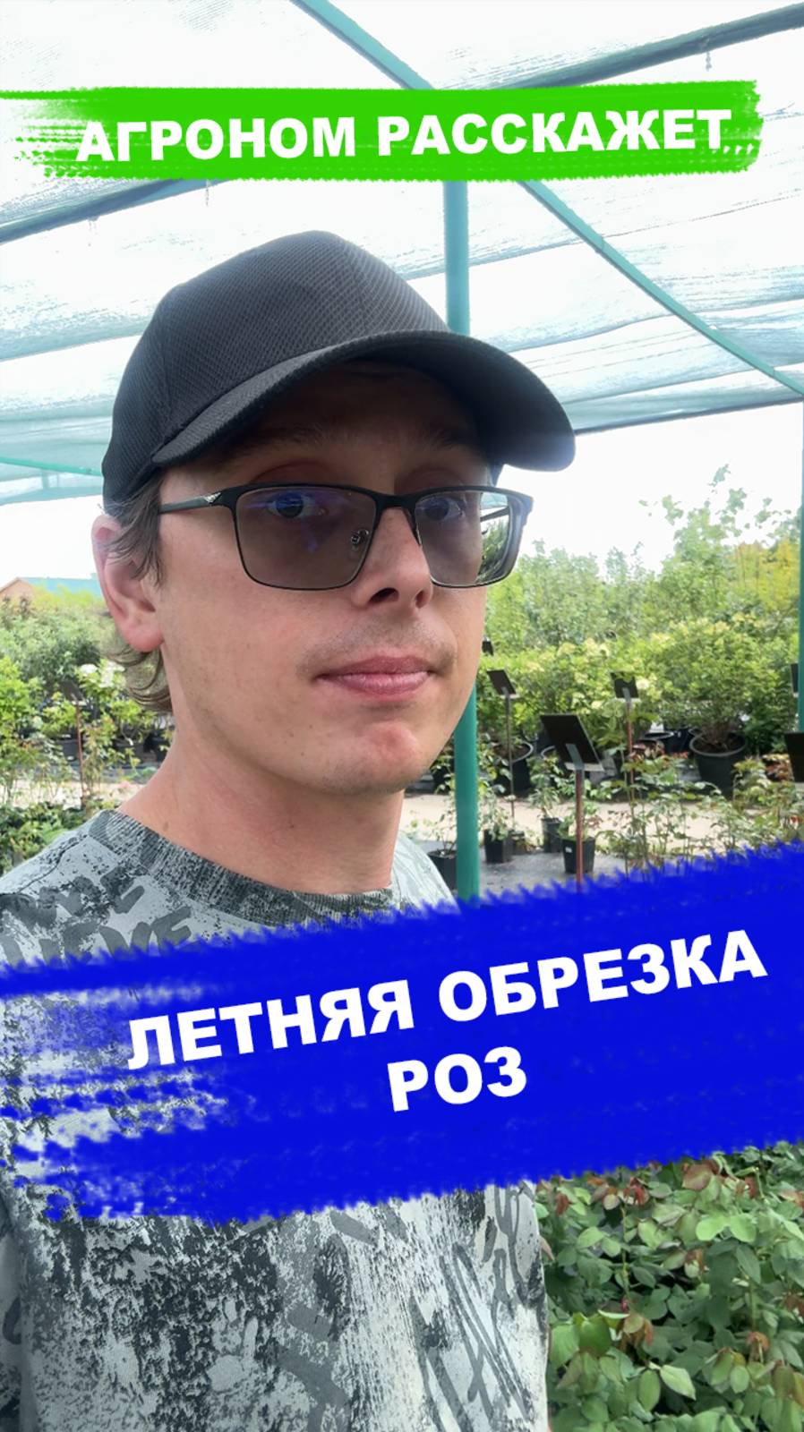 Летняя обрезка роз смотреть онлайн