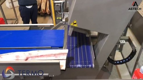 Пила Astech SRA-D распиловка акулы под углом от 0 до 50 градусов