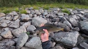 Рыбалка на горных реках. Часть вторая.