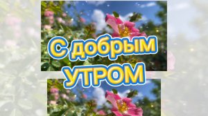 С добрым утром и хорошим днем. Пожелания доброго утра
