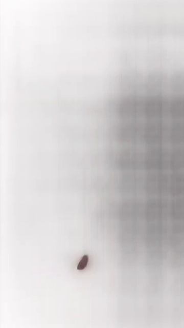 Коллаб с второместником моего конкурса из тгк💙