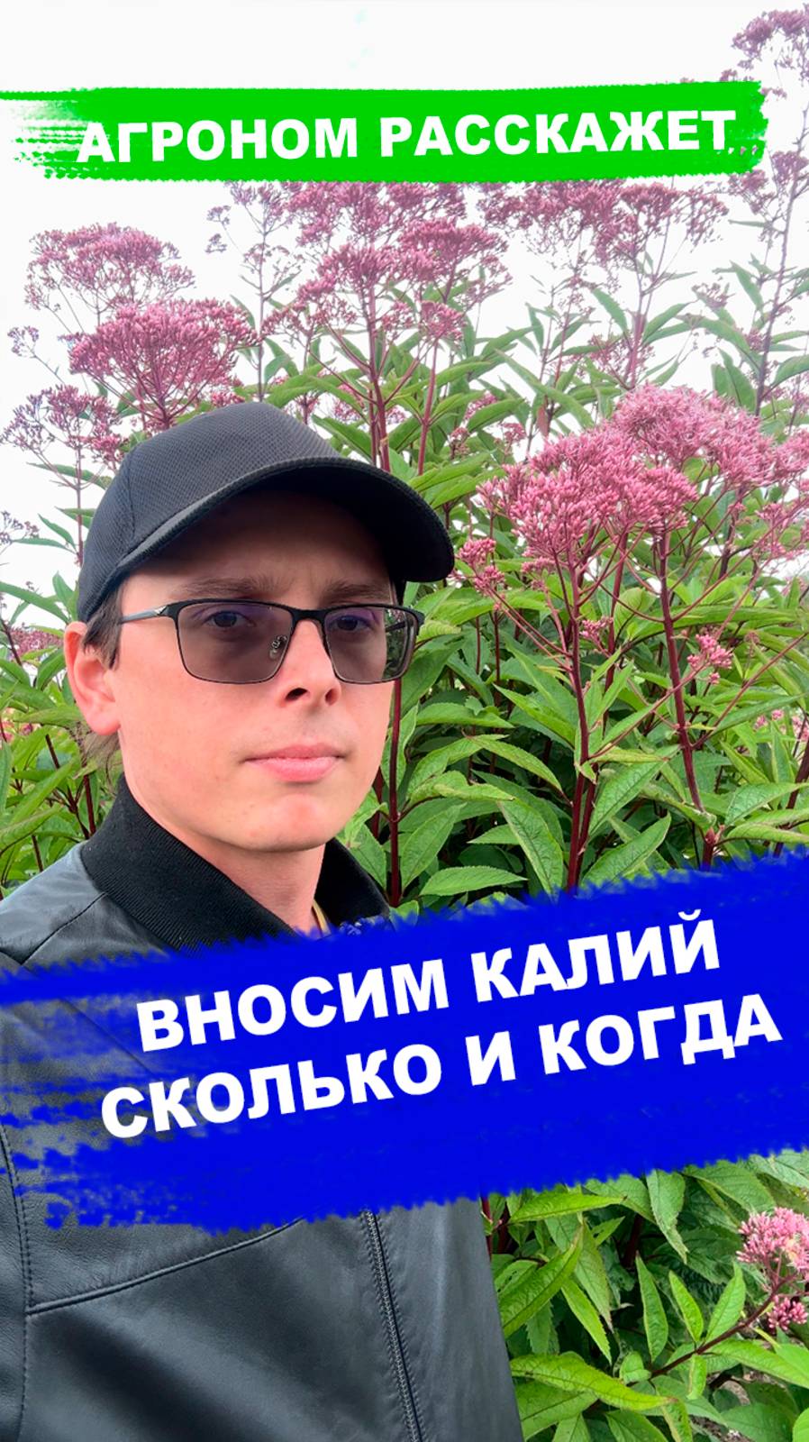 Калийные удобрения смотреть онлайн