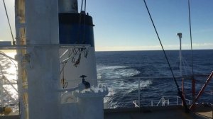 Uriah Heep - Confession