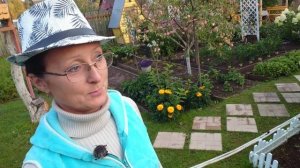 Видео привет с 6 соток 26 августа 2025 года