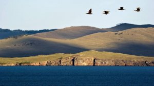 Вахта на камчатке.