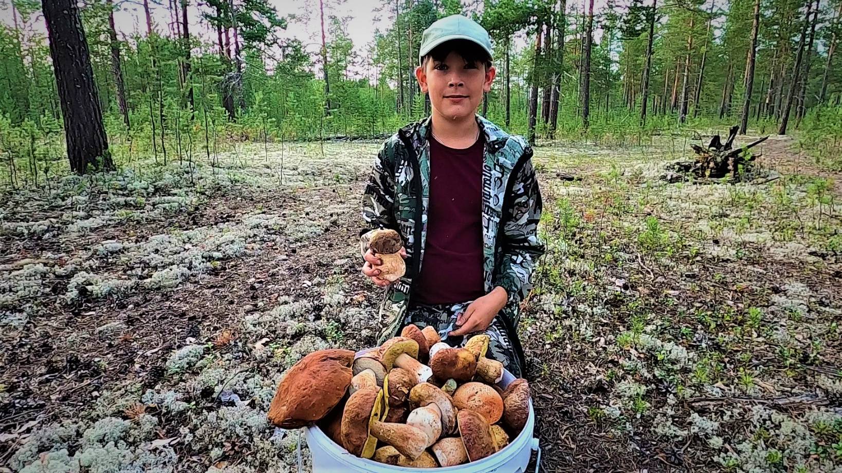 НАШИ ПЕРВЫЕ БЕЛЫЕ ГРИБЫ 25 ГОДА! ПОПАЛИСЬ И ПОДОСИНОВИКИ (КРАСНОГОЛОВИКИ) ДА И МОХОВИЧКИ НАРОСЛИ)! смотреть онлайн