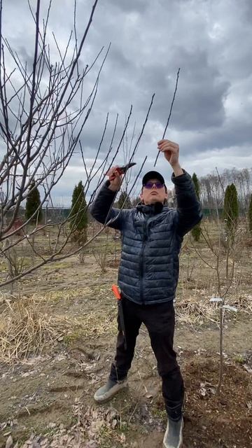 Обрезка, часть 4, слива смотреть онлайн