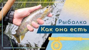 Ловля форели на лесной речке