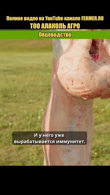 ФЕРМЕР.RU - главный фермерский портал