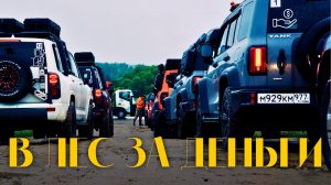 ОНИ ЗАПЛАТИЛИ, ЧТОБЫ СТРАДАТЬ. Я В ШОКЕ!