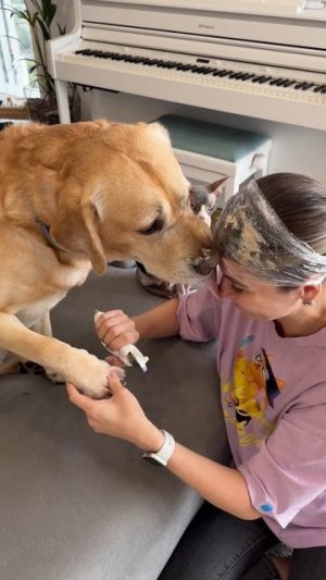 Отличный способ😂