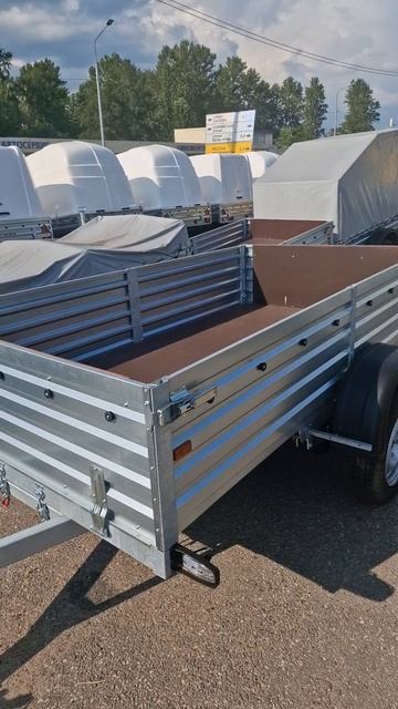 Легковой прицеп МЗСА 817704.024 2 5х1,3м, борт 0,5 м. Видео обзор Трейли смотреть онлайн