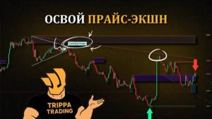 Эти 5 индикаторов изменят ваш подход к торговле на основе ценового действия!