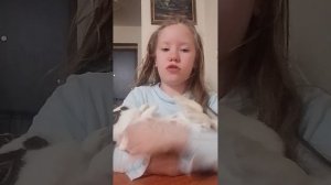 Это старое видео про муню