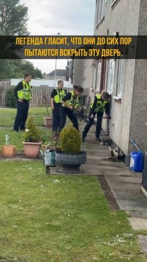 Всё, что нужно знать о британской полиции #shorts