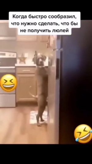 Красивой походкой