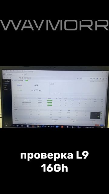 ПРОВЕРКА ANTMINER L9 16Gh на нашем складе в МОСКВЕ, МАЙНИНГ В РОССИИ 2025, ОБЗОР ASIC смотреть онлайн