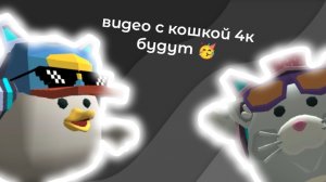 видео с кошкой 4к всё-таки будут. #жура #ден #чг топ #миф #сериал