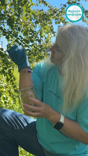 К нам в редакцию заглянул необычный гость: паук-оса был замечен в Нурлате! 🕷 смотреть онлайн