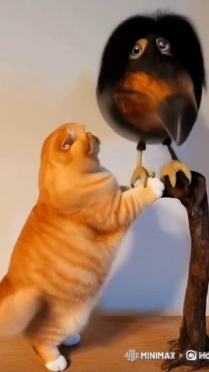 СКЕБОБ И КОТ