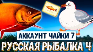 Rf4 подарили топ удилища из чата, катушки, род-под и многое другое #рр4