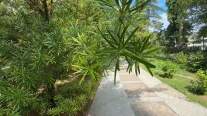 Сочи . Дендрарий . 25.05.2025