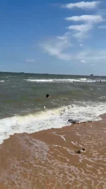 Голубицкая 2