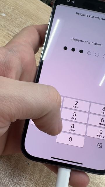 IMG_3946 смотреть онлайн