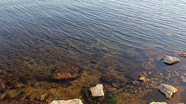 Тарханкут. День на море. Мыс Тарханкут.