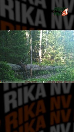 Проверка солонца оставленного на 10 дней