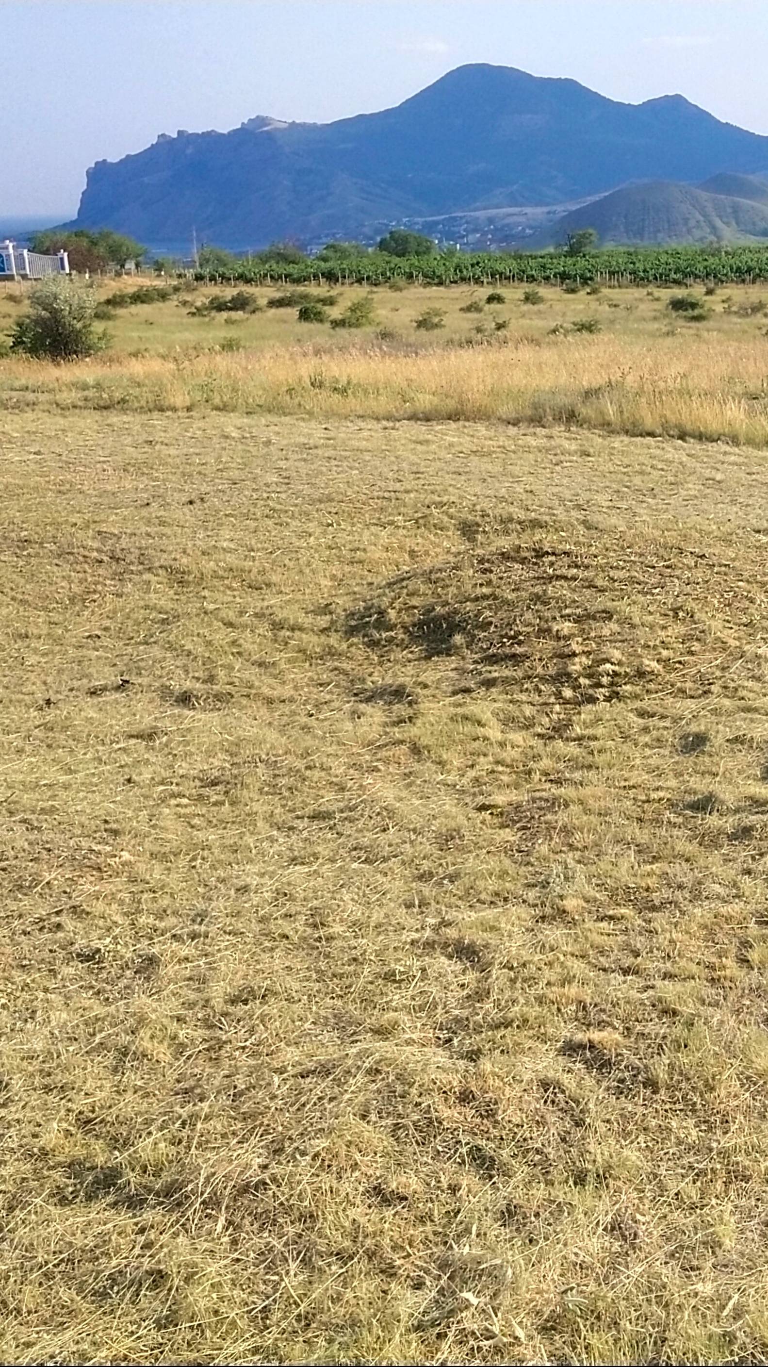 Video_20250618_183526