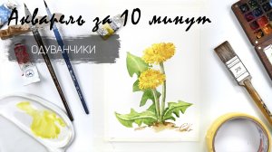 Рисуем одуванчики акварелью за 15 минут. Быстрые зарисовки. Акварель для новичков