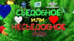 Comment faire une bataile de boules de neige - Janet The Visitors. Съедобное или несъедобное