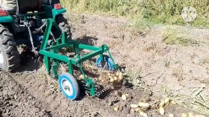 Картофелекопалка для минитрактора своими руками. Первое испытание на картошке. Часть 3.