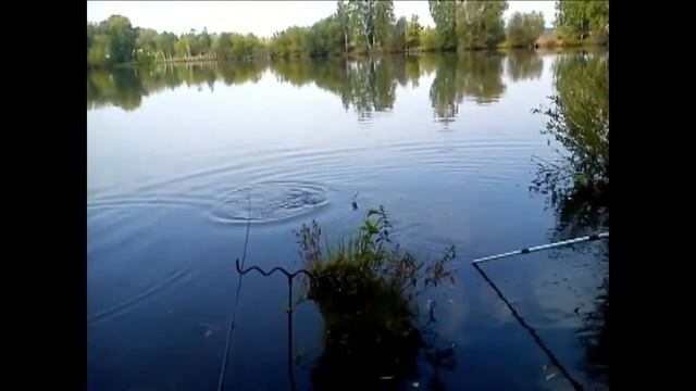 Платная рыбалка посёлок Зеркальный.