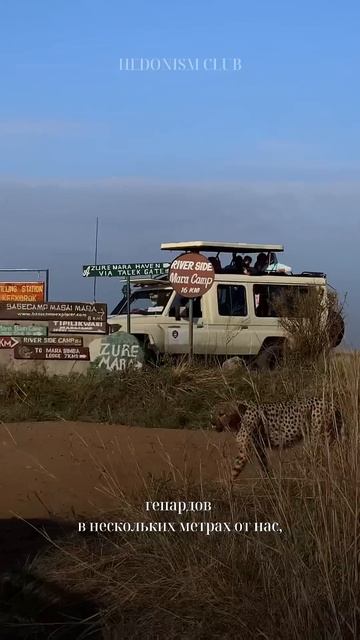 Удивительная и захватывающая Кения