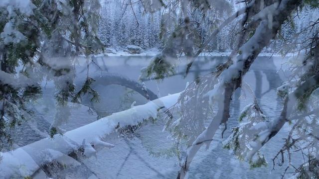 ПОХОД В ЛЕС ЗИМОЙ  ОДИН