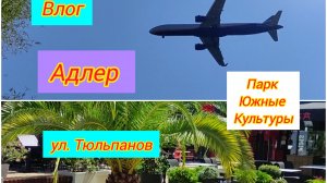 ВЛОГ / АДЛЕР парк Южные Культуры / ул. Тюльпанов